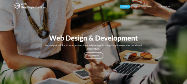 Web Development WordPress Theme