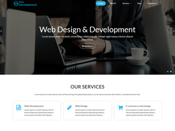 Web Development WordPress Theme - Image 2